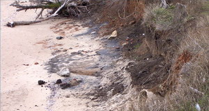 Klyuch Gluboky monazite placer deposits